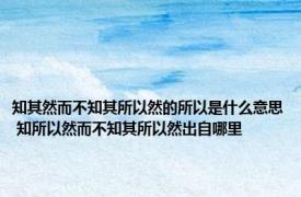 知其然而不知其所以然的所以是什么意思 知所以然而不知其所以然出自哪里