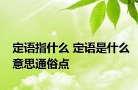 定语指什么 定语是什么意思通俗点