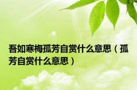 吾如寒梅孤芳自赏什么意思（孤芳自赏什么意思）