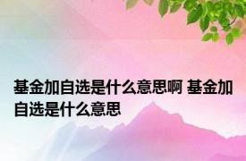 基金加自选是什么意思啊 基金加自选是什么意思