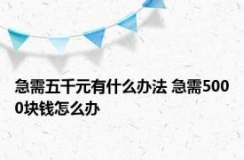 急需五千元有什么办法 急需5000块钱怎么办