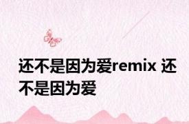 还不是因为爱remix 还不是因为爱 