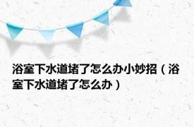 浴室下水道堵了怎么办小妙招（浴室下水道堵了怎么办）