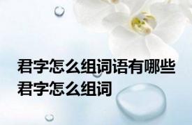 君字怎么组词语有哪些 君字怎么组词