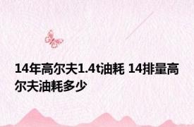 14年高尔夫1.4t油耗 14排量高尔夫油耗多少