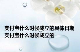 支付宝什么时候成立的具体日期 支付宝什么时候成立的