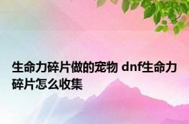 生命力碎片做的宠物 dnf生命力碎片怎么收集