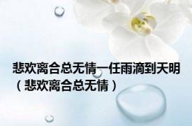 悲欢离合总无情一任雨滴到天明（悲欢离合总无情）