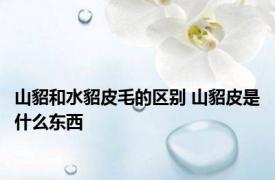 山貂和水貂皮毛的区别 山貂皮是什么东西