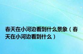 春天在小河边看到什么景象（春天在小河边看到什么）