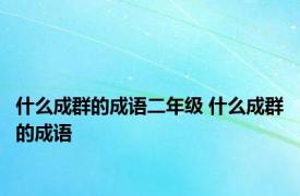 什么成群的成语二年级 什么成群的成语