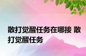 散打觉醒任务在哪接 散打觉醒任务 