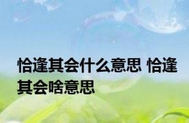 恰逢其会什么意思 恰逢其会啥意思