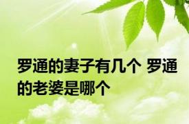 罗通的妻子有几个 罗通的老婆是哪个