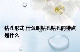 钻孔形式 什么叫钻孔钻孔的特点是什么