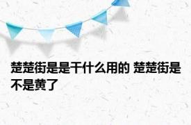 楚楚街是是干什么用的 楚楚街是不是黄了