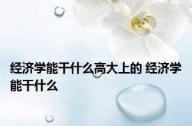 经济学能干什么高大上的 经济学能干什么