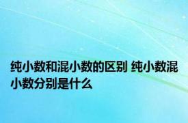 纯小数和混小数的区别 纯小数混小数分别是什么