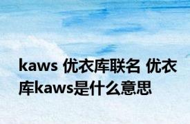 kaws 优衣库联名 优衣库kaws是什么意思