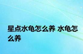 星点水龟怎么养 水龟怎么养