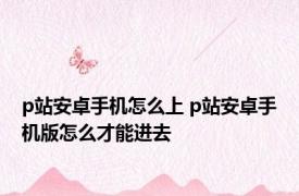 p站安卓手机怎么上 p站安卓手机版怎么才能进去