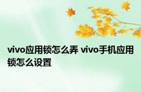 vivo应用锁怎么弄 vivo手机应用锁怎么设置