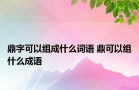 鼎字可以组成什么词语 鼎可以组什么成语