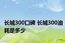 长城300口碑 长城300油耗是多少