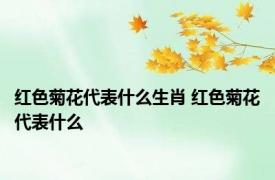 红色菊花代表什么生肖 红色菊花代表什么