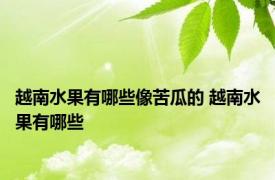 越南水果有哪些像苦瓜的 越南水果有哪些