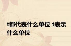 t都代表什么单位 t表示什么单位