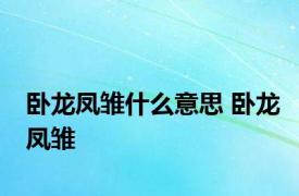 卧龙凤雏什么意思 卧龙凤雏 