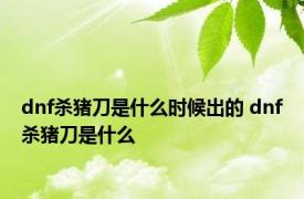 dnf杀猪刀是什么时候出的 dnf杀猪刀是什么