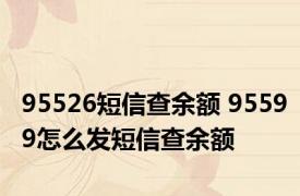 95526短信查余额 95599怎么发短信查余额