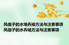 风信子的水培养殖方法与注意事项 风信子的水养殖方法与注意事项