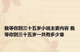 我等你到三十五岁小说主要内容 我等你到三十五岁一共有多少章