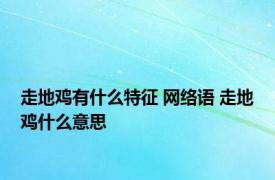 走地鸡有什么特征 网络语 走地鸡什么意思