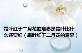 霜叶红于二月花的意思是霜叶比什么还要红（霜叶红于二月花的意思）