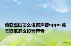 动态壁纸怎么设置声音oppo 动态壁纸怎么设置声音