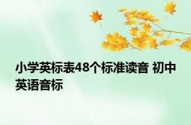 小学英标表48个标准读音 初中英语音标 