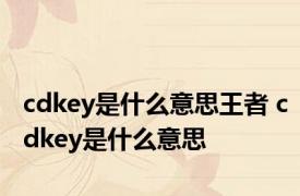 cdkey是什么意思王者 cdkey是什么意思