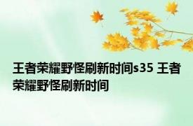 王者荣耀野怪刷新时间s35 王者荣耀野怪刷新时间