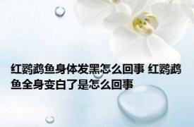 红鹦鹉鱼身体发黑怎么回事 红鹦鹉鱼全身变白了是怎么回事