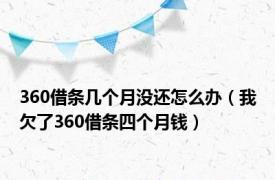 360借条几个月没还怎么办（我欠了360借条四个月钱）