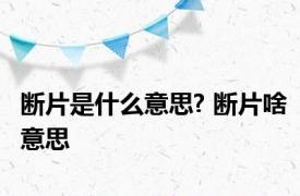 断片是什么意思? 断片啥意思