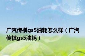 广汽传祺gs5油耗怎么样（广汽传祺gs5油耗）