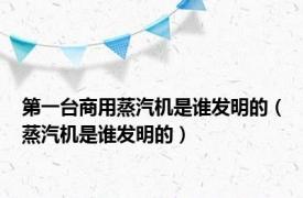 第一台商用蒸汽机是谁发明的（蒸汽机是谁发明的）