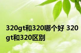 320gt和320哪个好 320gt和320区别