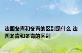 法国冬青和冬青的区别是什么 法国冬青和冬青的区别