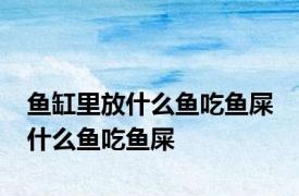 鱼缸里放什么鱼吃鱼屎 什么鱼吃鱼屎